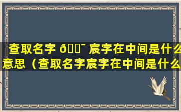 查取名字 🐯 宸字在中间是什么意思（查取名字宸字在中间是什么意思啊）